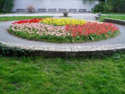 20040417_104610.jpg
