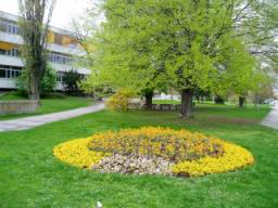 20040420_152228.jpg