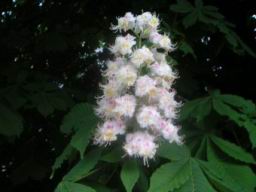 20040504_181908.jpg