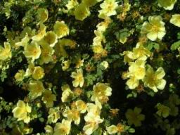 20040509_091254.jpg