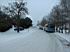 20030220_145343.jpg